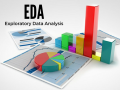 Exploratory Data Analysis